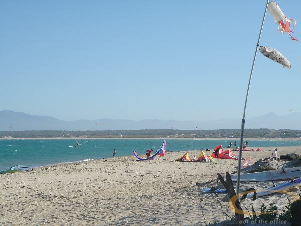 DSC00310