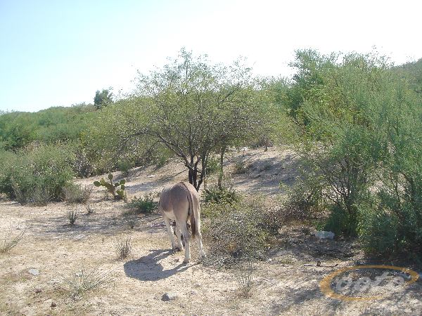 DSC00317