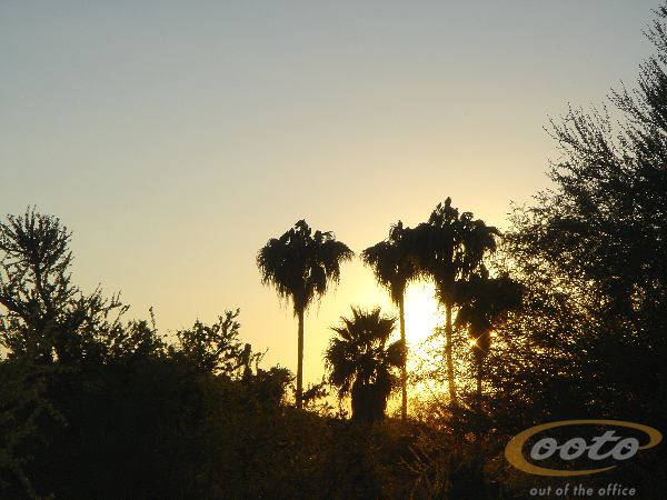 DSC00329