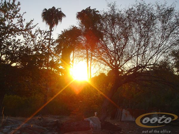 DSC00336
