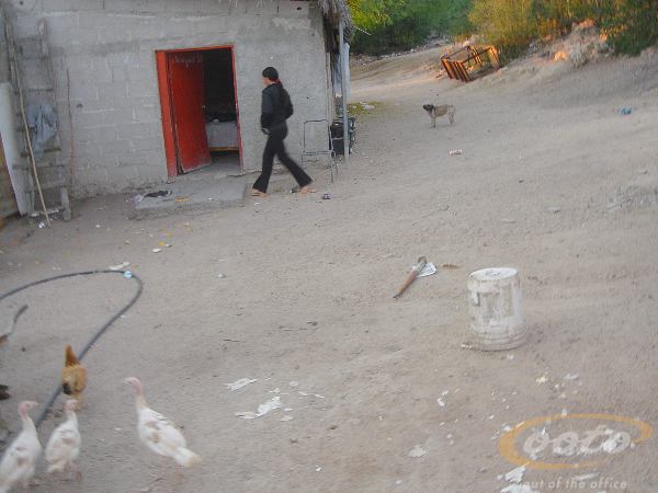 DSC00340
