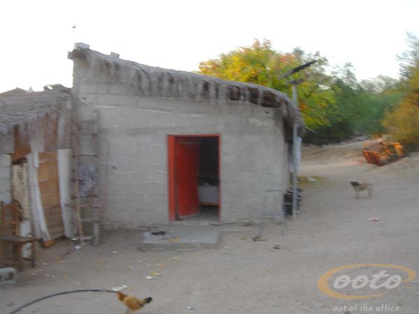 DSC00341