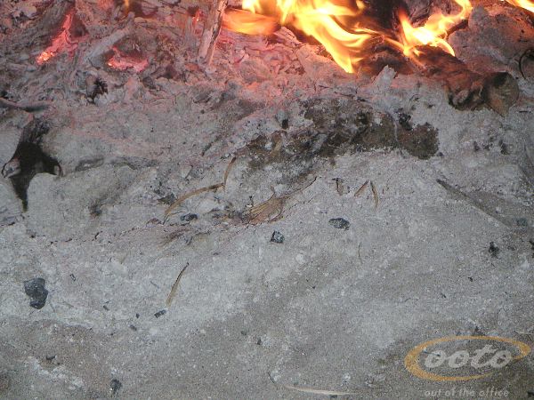 PICT003301