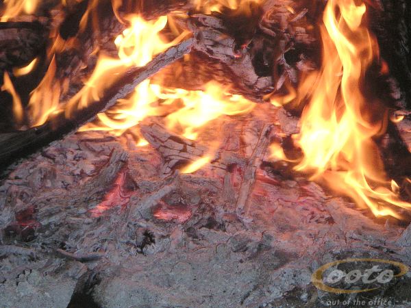 PICT003401