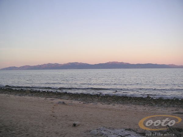 PICT003601