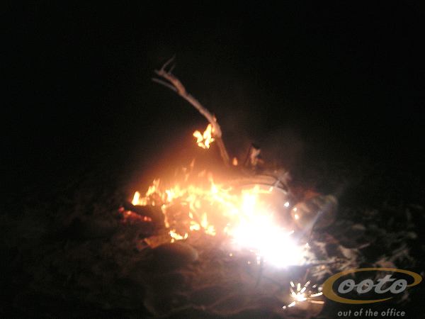 PICT005501