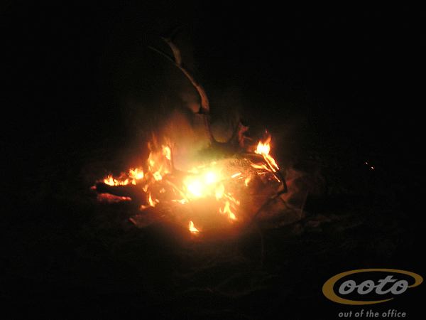 PICT005801