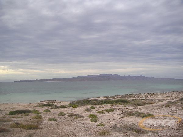 PICT0085
