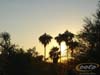 DSC00329