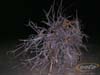PICT000401