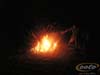 PICT0074