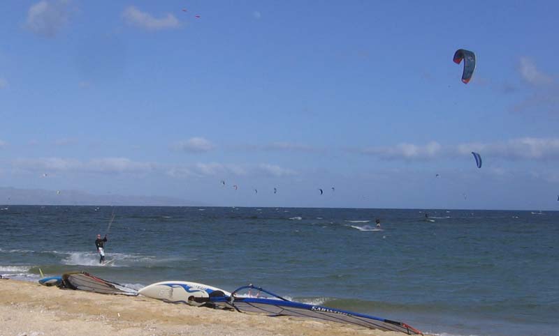 Burning Bush-DX-Race 049