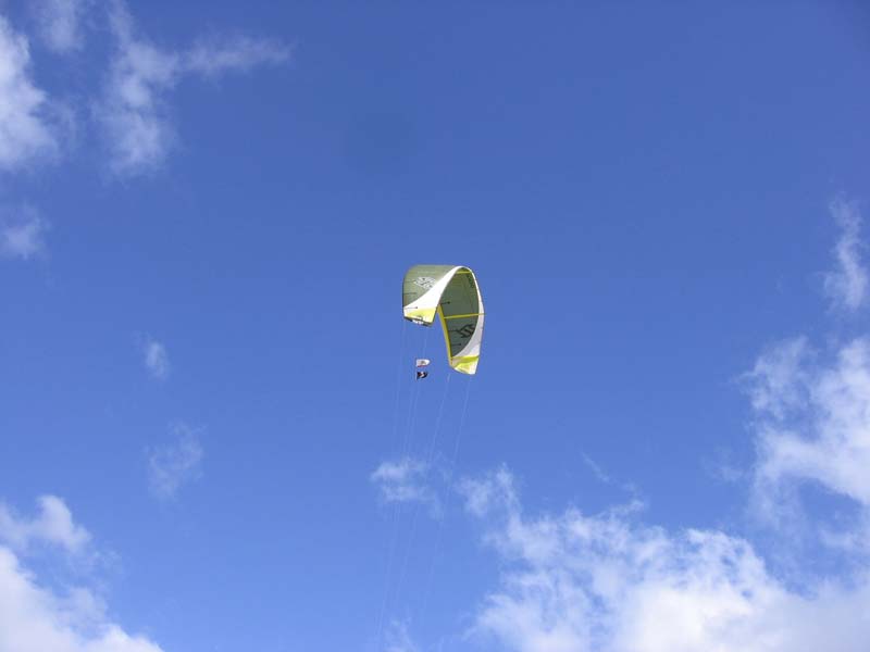 Burning Bush-DX-Race 057