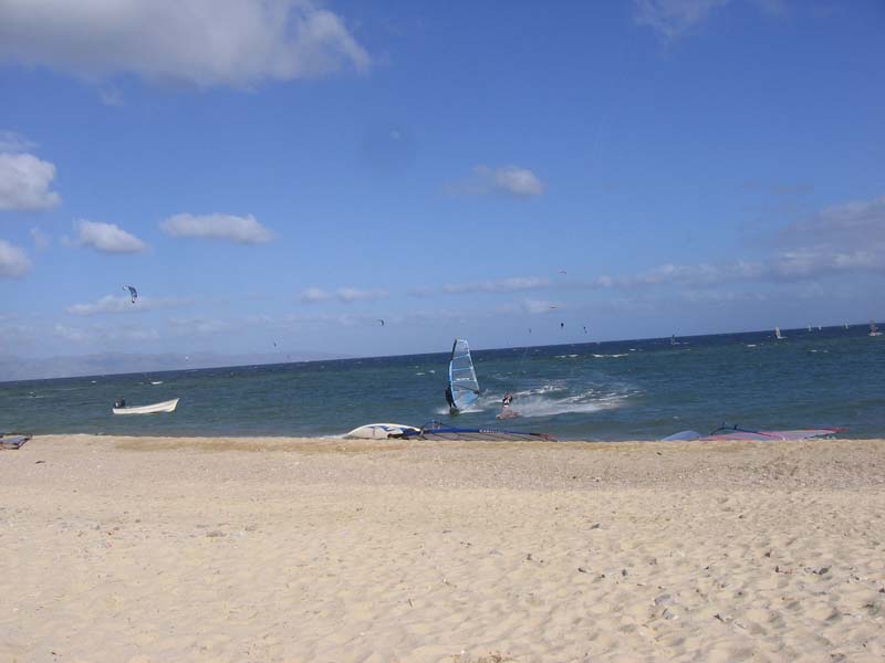 Burning Bush-DX-Race 069