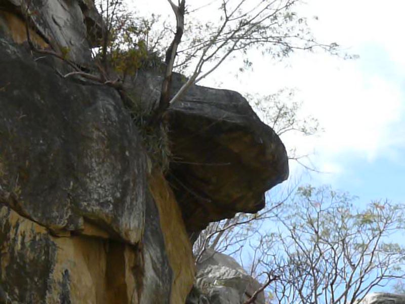 P1110188