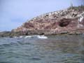 PICT0052
