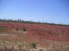PICT0046