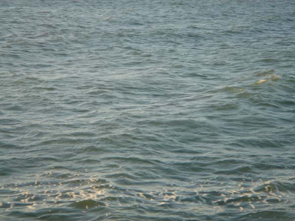 DSC00987