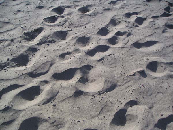 PICT0077