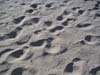PICT0077
