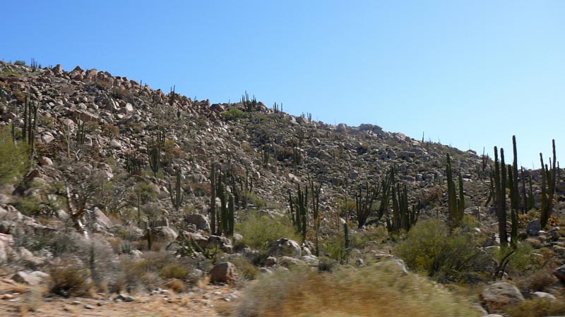 P1130045