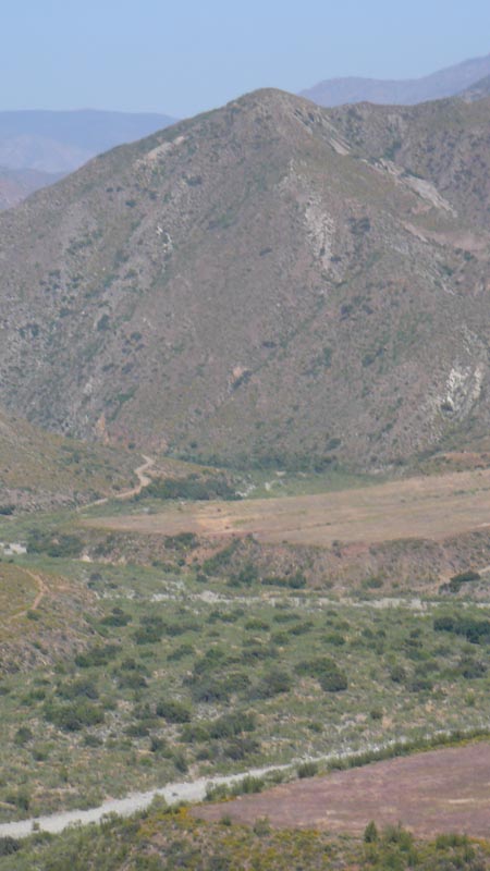 P1130052