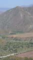 P1130052