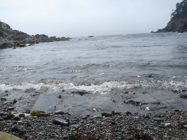 DSC01253