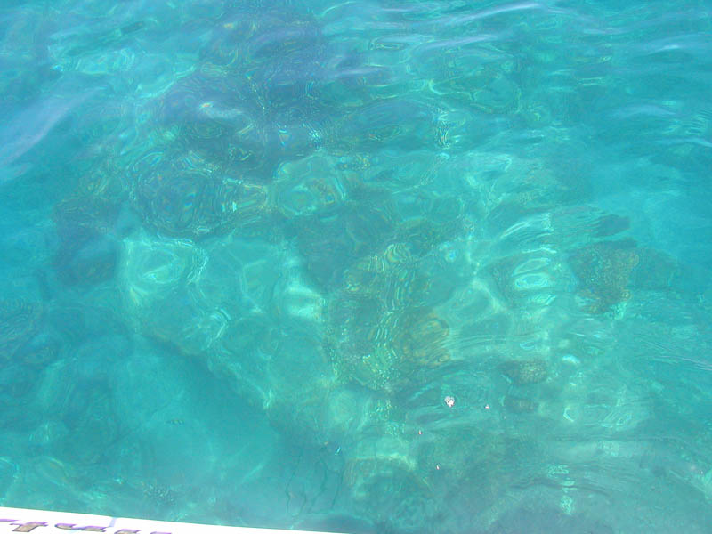 P5290004
