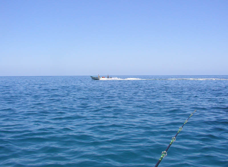 P5290010
