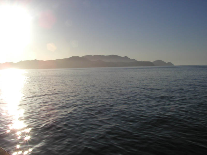 P5290017_1