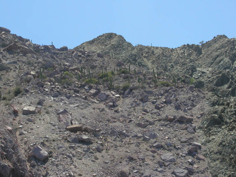 P5290020