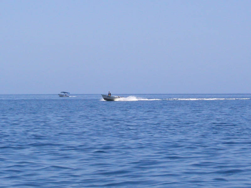 P5290036