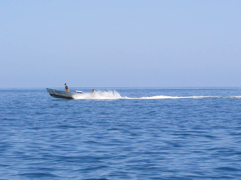 P5290037