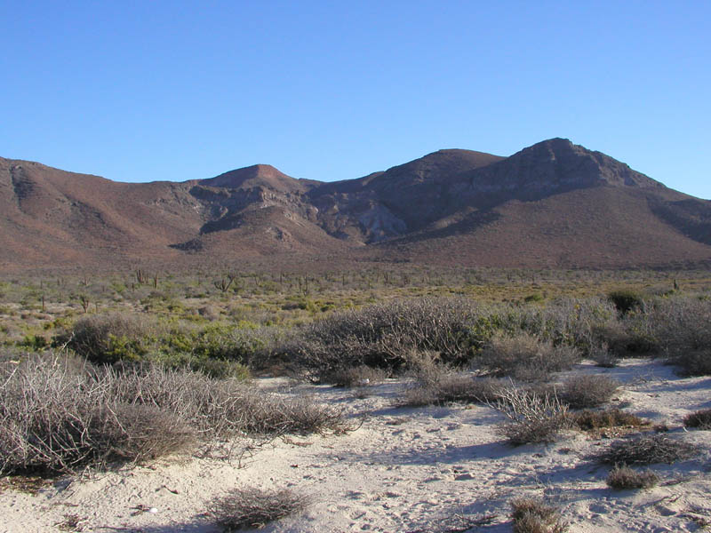 P5290051