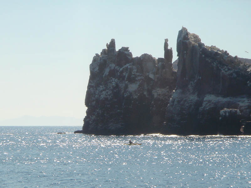 DSC02784