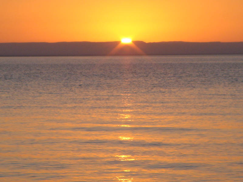 DSC03066