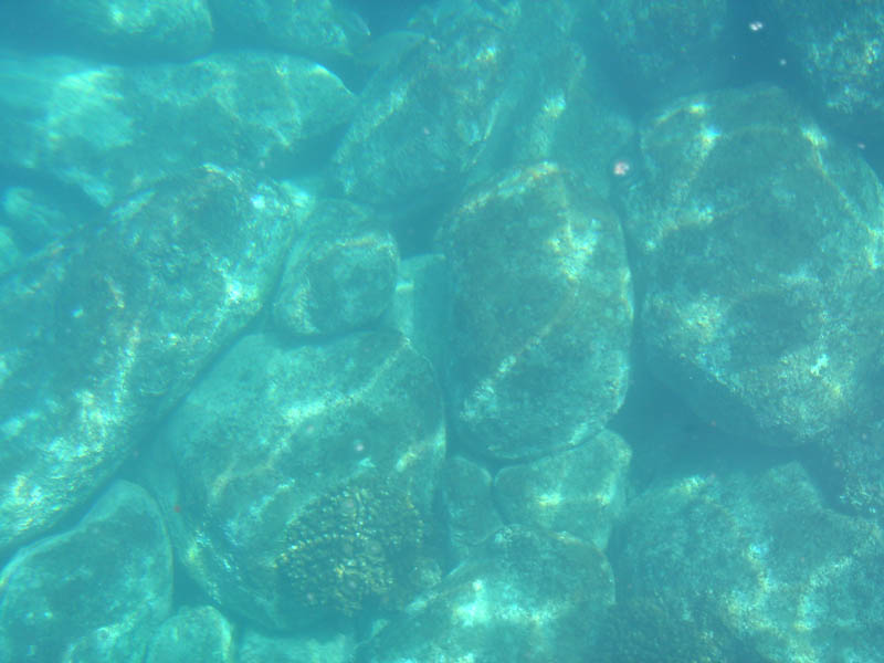 DSC03665_1