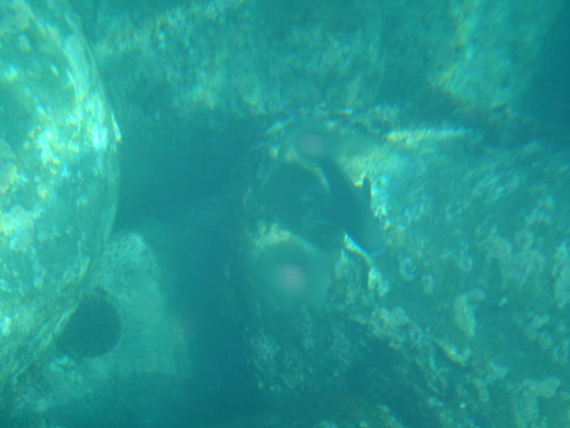 DSC03669_1