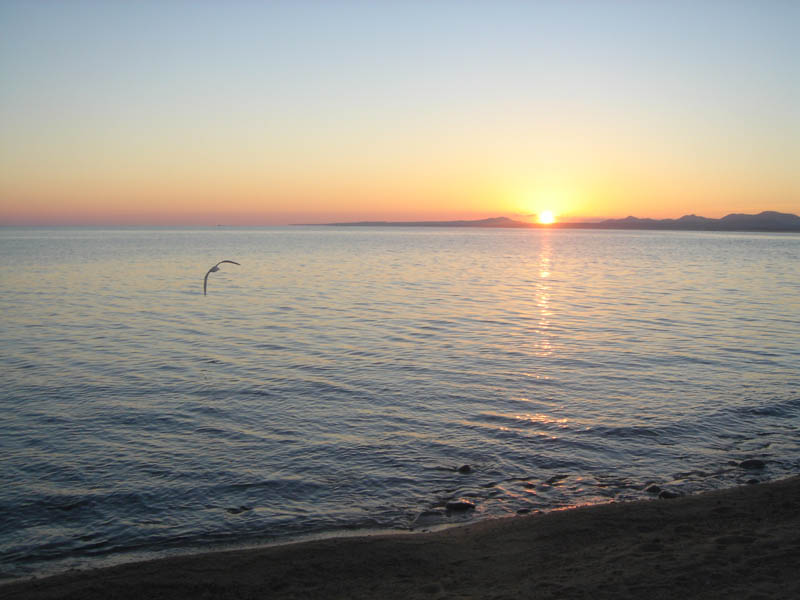 DSC03708
