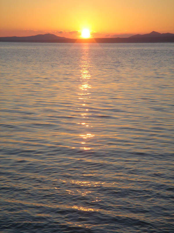 DSC03709