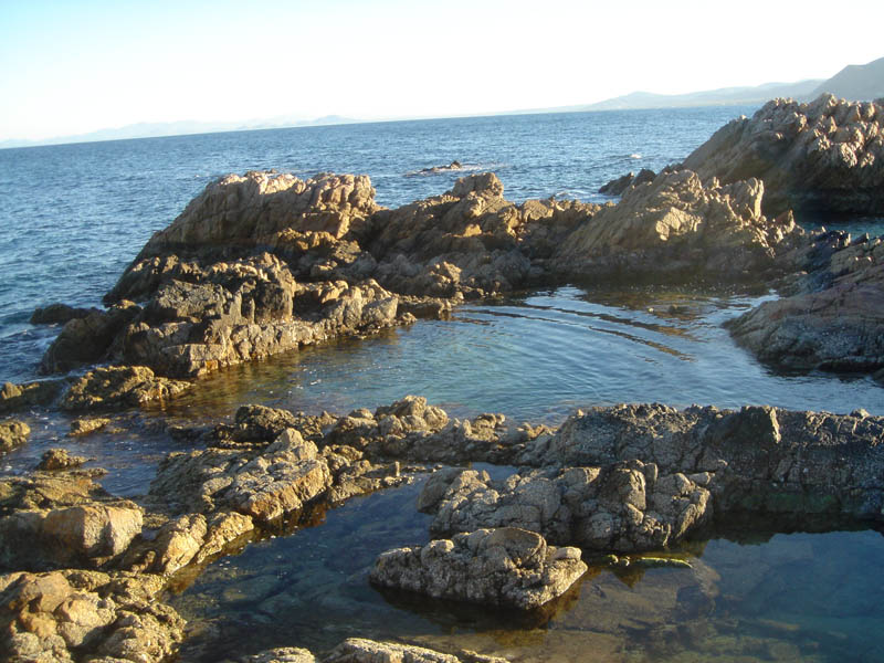 DSC04160