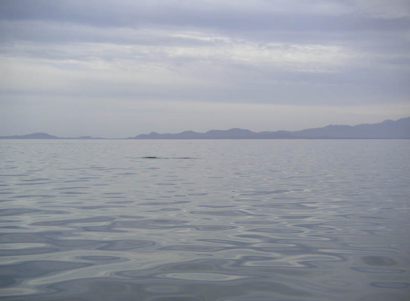PICT0038
