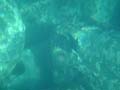 DSC03669_1