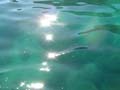 DSC04190