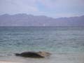 PICT0026