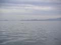 PICT0038