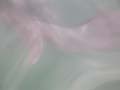 PICT0063
