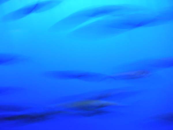 063004 036