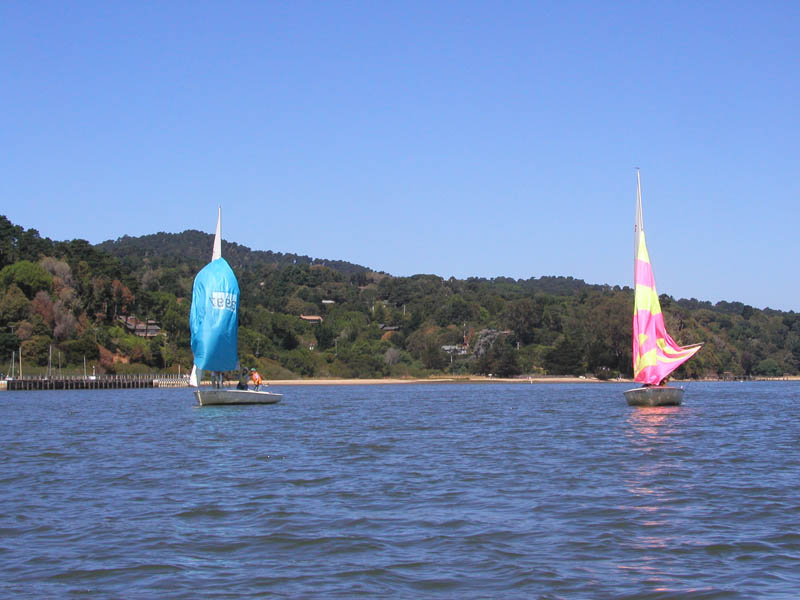 P7290035